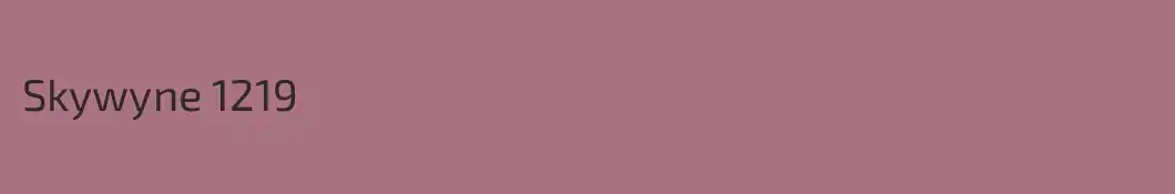 Skywyne 1219